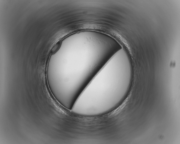 X0000096481033200801241142