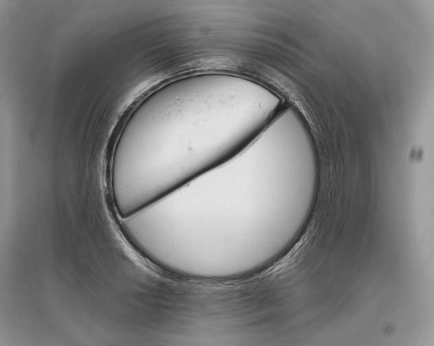 X0000096481034200801241142