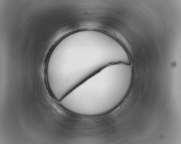 X0000096481035200801241142