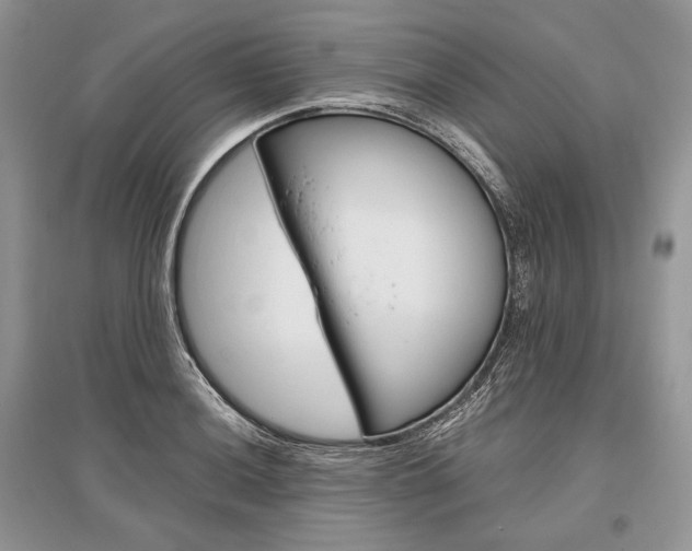 X0000096481036200801241142