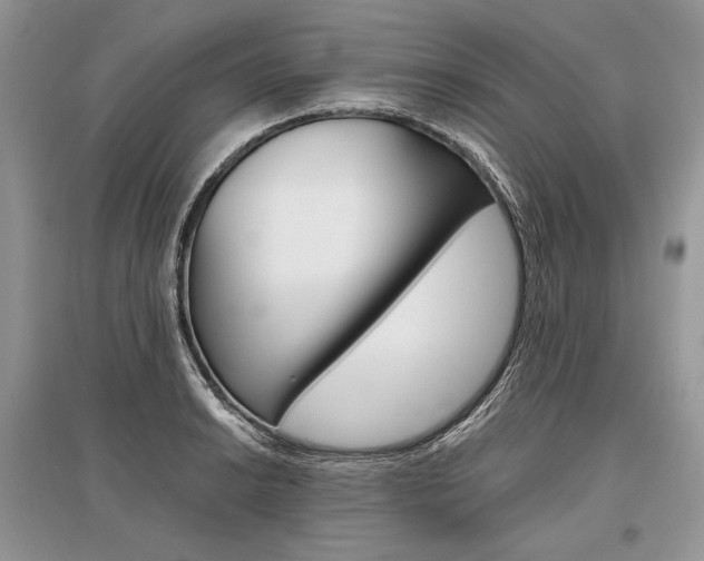 X0000096481038200801241142