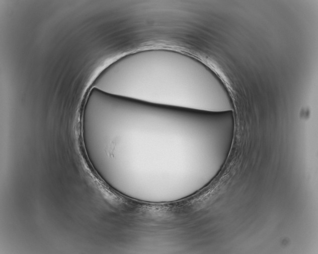 X0000096481040200801241142