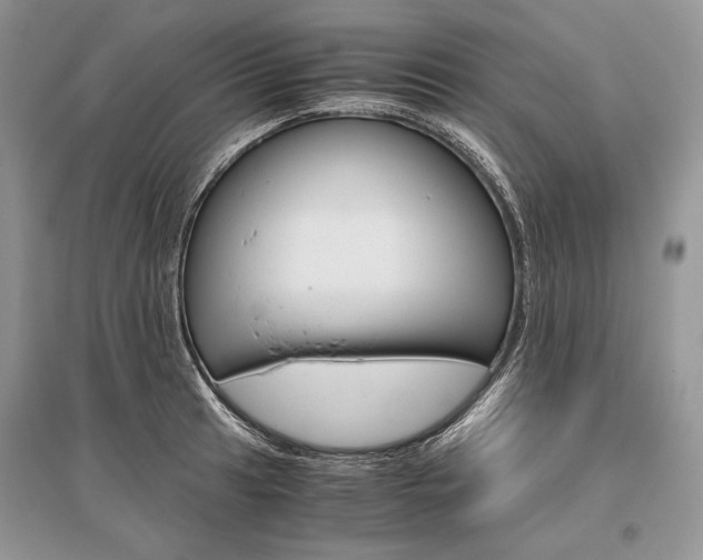 X0000096481041200801241142
