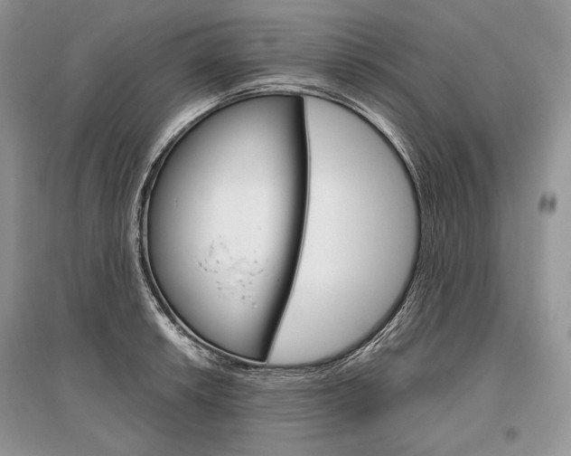 X0000096481042200801241142
