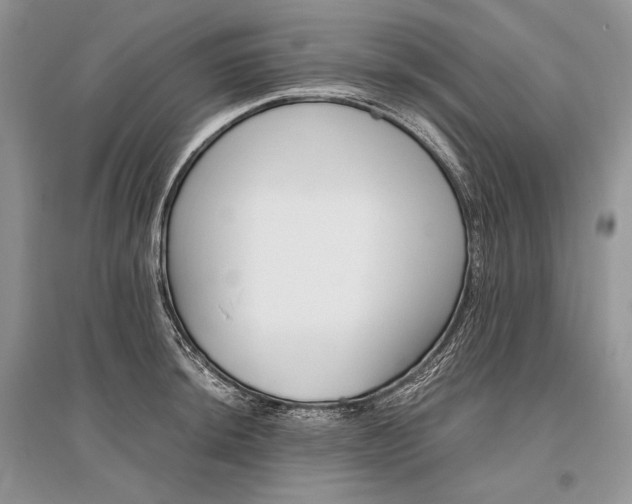 X0000096481044200801241142