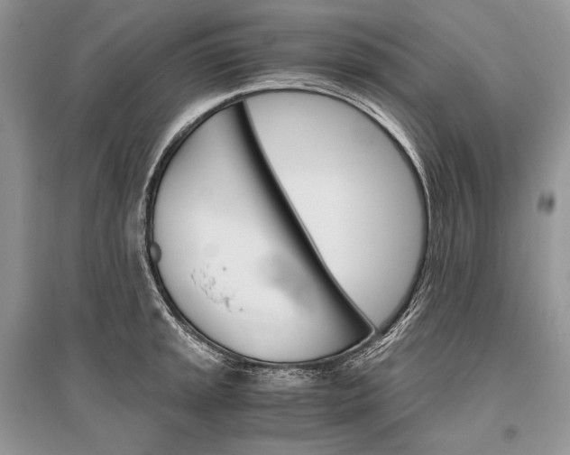 X0000096481045200801241142