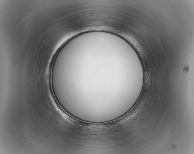 X0000096481046200801241142