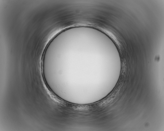 X0000096481047200801241142