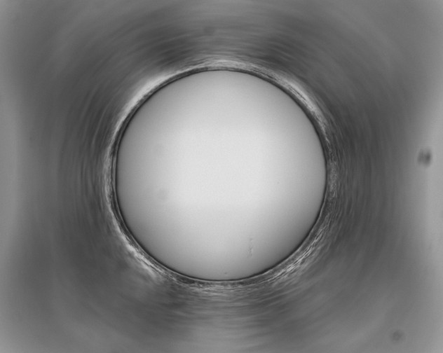 X0000096481048200801241142