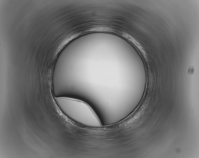X0000096481049200801241142