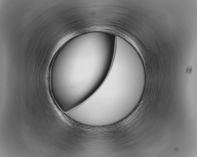 X0000096481050200801241142