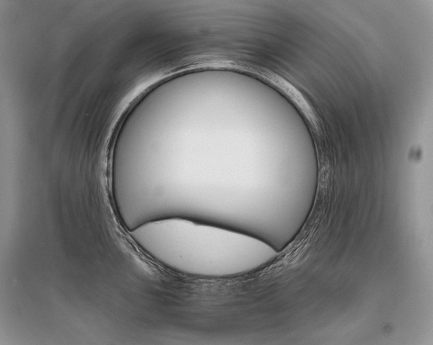 X0000096481051200801241142