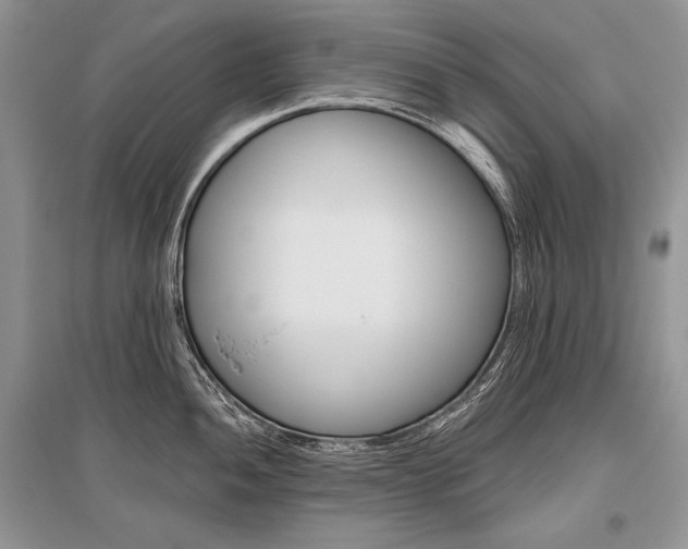 X0000096481052200801241142