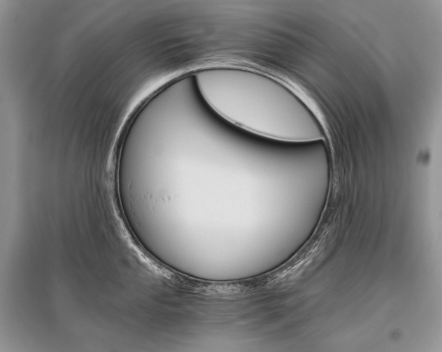 X0000096481053200801241142