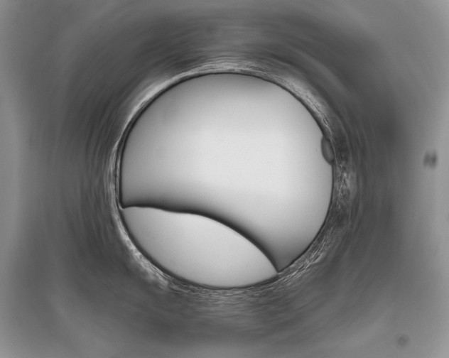 X0000096481055200801241142