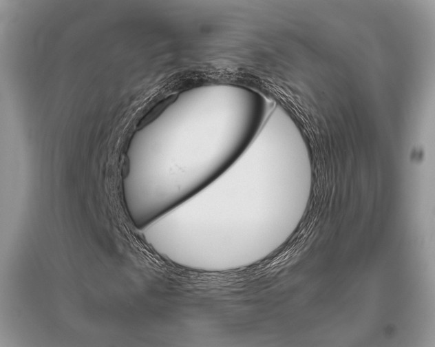 X0000096481057200801241142