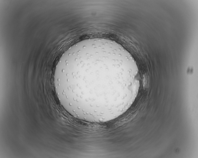 X0000096481059200801241142