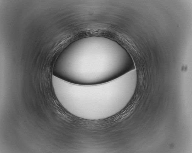X0000096481060200801241142