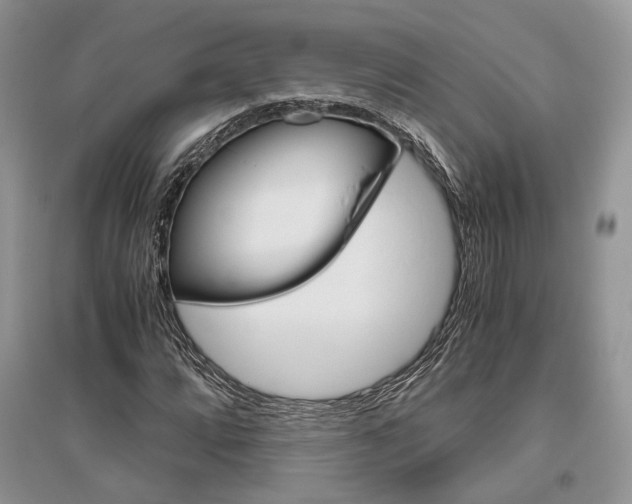 X0000096481064200801241142