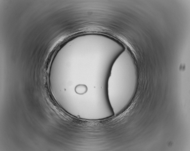 X0000096481067200801241141