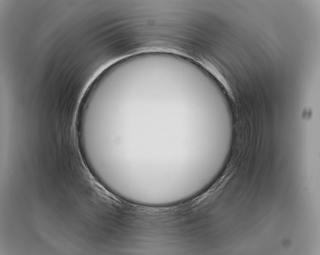 X0000096481068200801241141