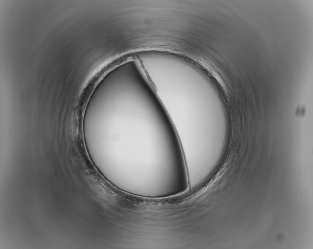 X0000096481069200801241141
