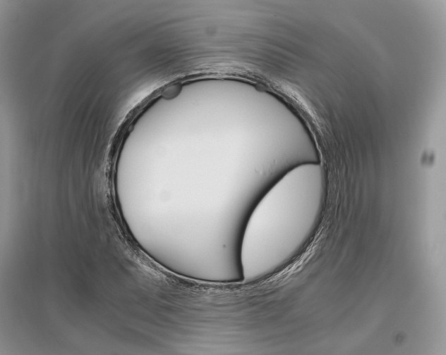 X0000096481071200801241141