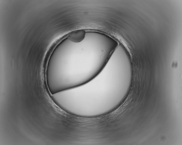 X0000096481072200801241141