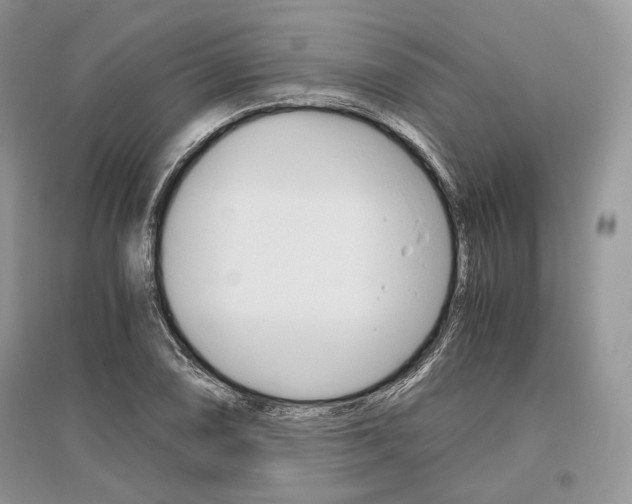 X0000096481074200801241141