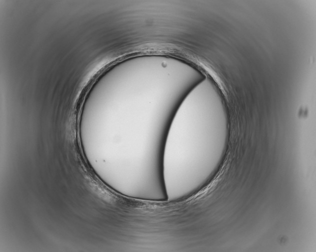 X0000096481075200801241141