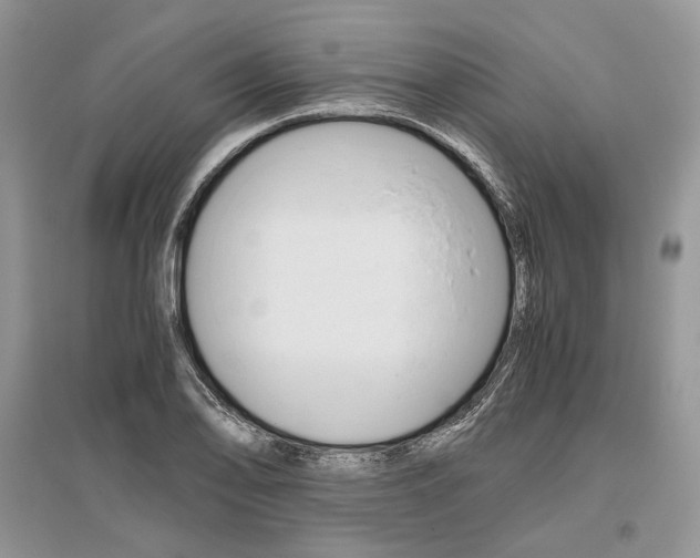 X0000096481078200801241141