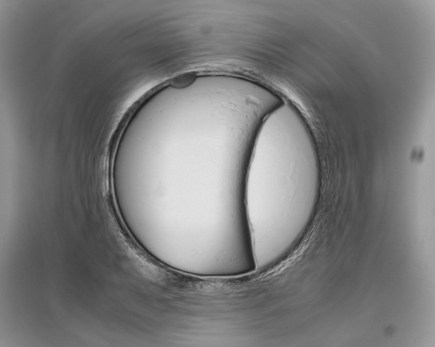 X0000096481079200801241141