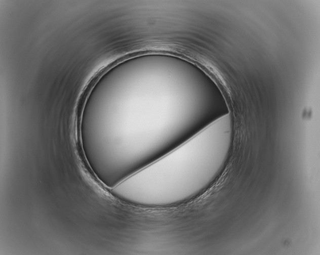 X0000096481080200801241141
