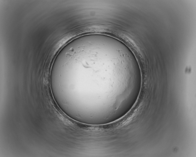 X0000096481081200801241141