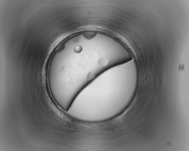 X0000096481082200801241141