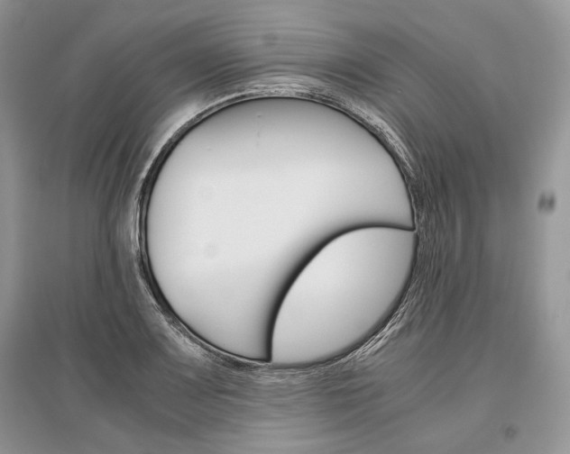 X0000096481083200801241141
