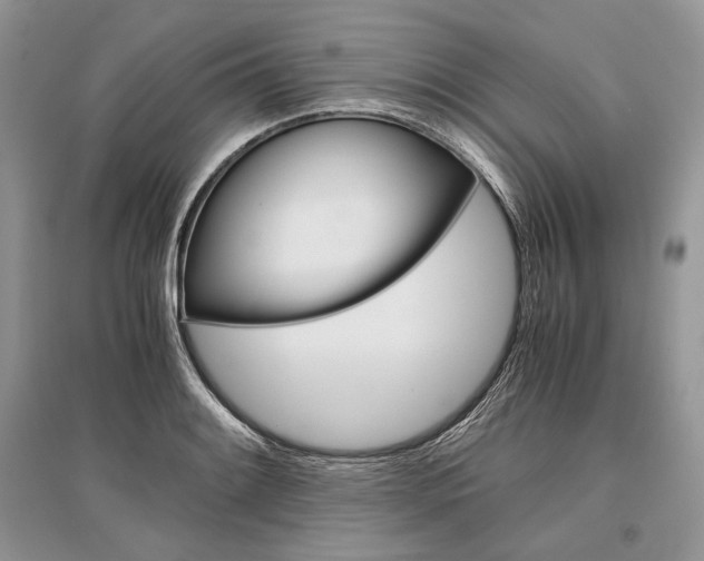 X0000096481084200801241141