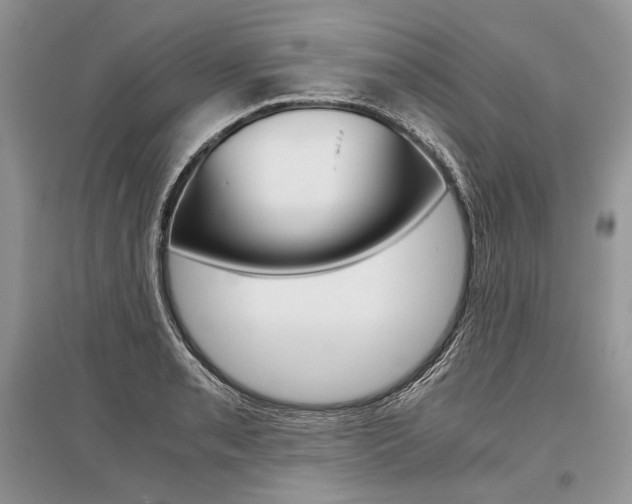 X0000096481085200801241141