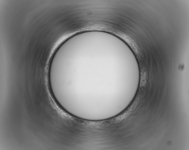 X0000096481086200801241141