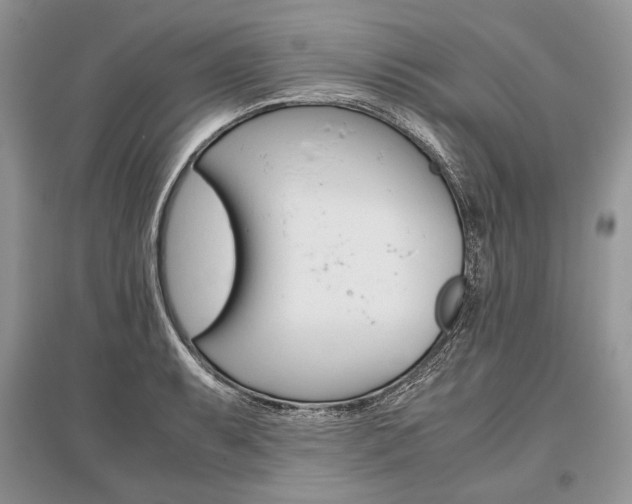 X0000096481087200801241141