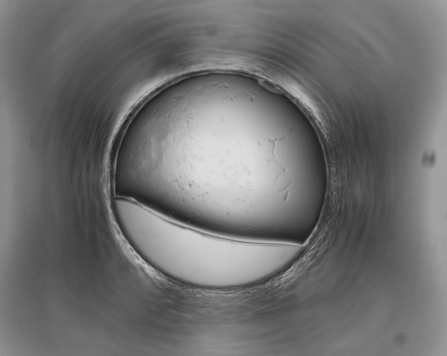 X0000096481088200801241141