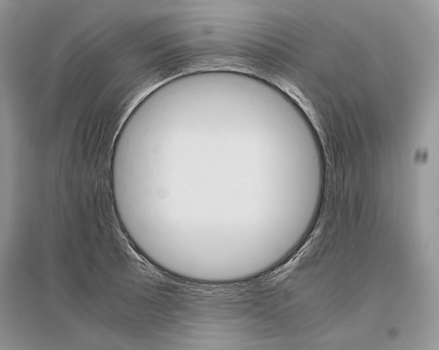 X0000096481089200801241141