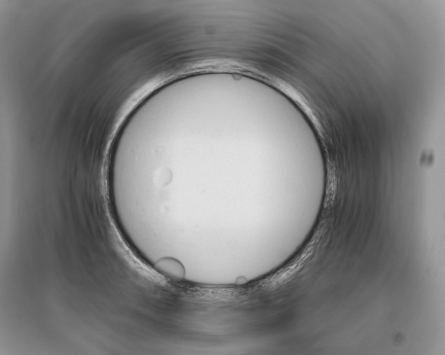 X0000096481090200801241141