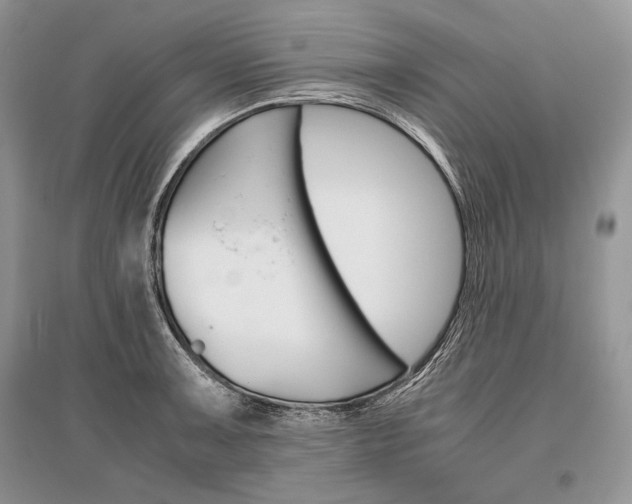 X0000096481091200801241141