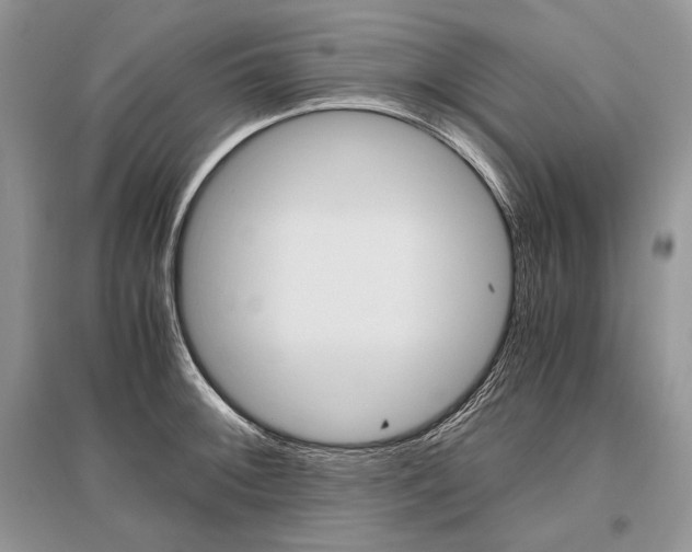 X0000096481092200801241141
