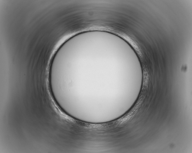 X0000096481094200801241141