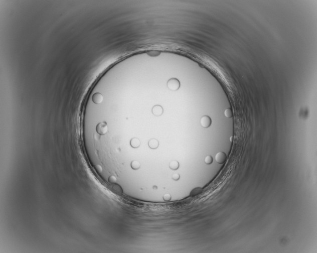 X0000096481095200801241141