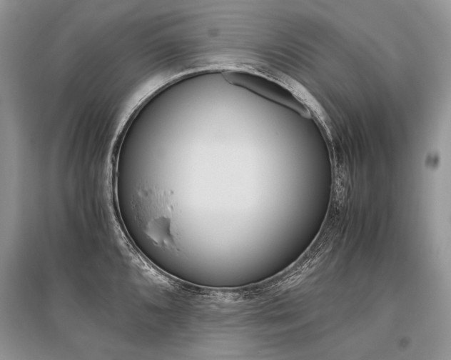 X0000096481096200801241141