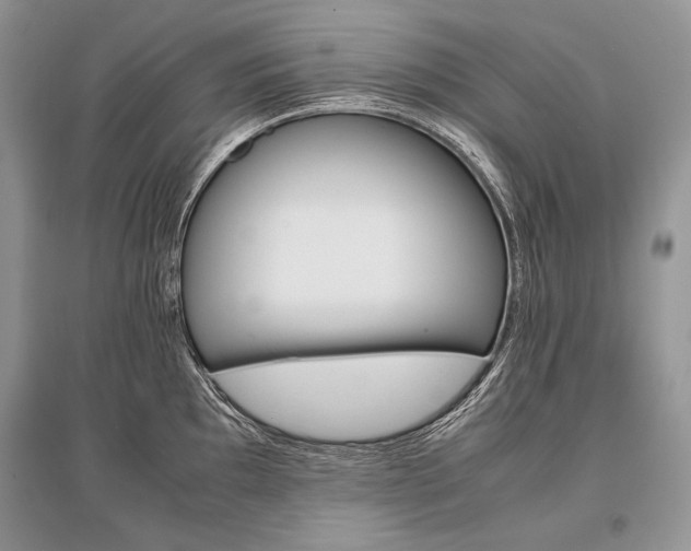 X0000096481097200801241141