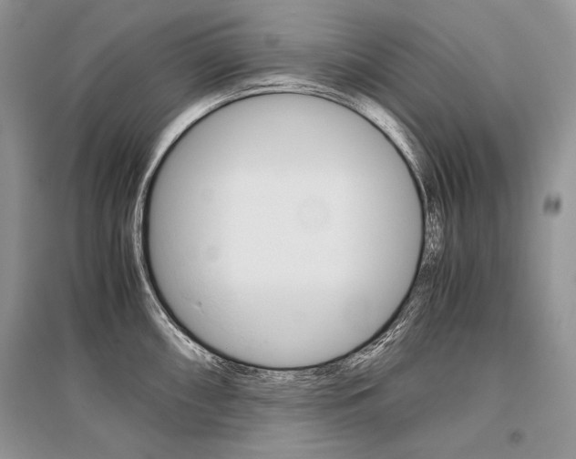 X0000096481098200801241141